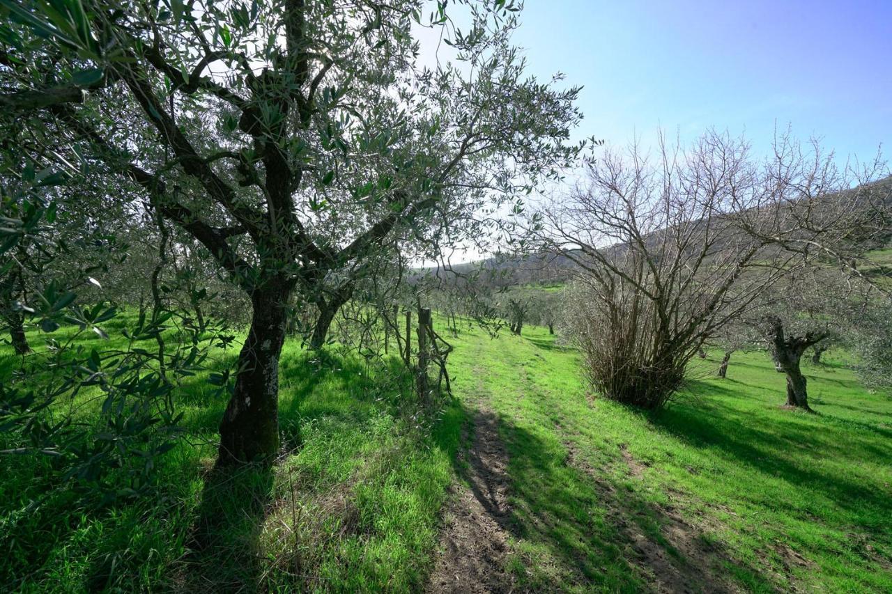 Il Podere La Casina Monsummano Terme Exterior photo