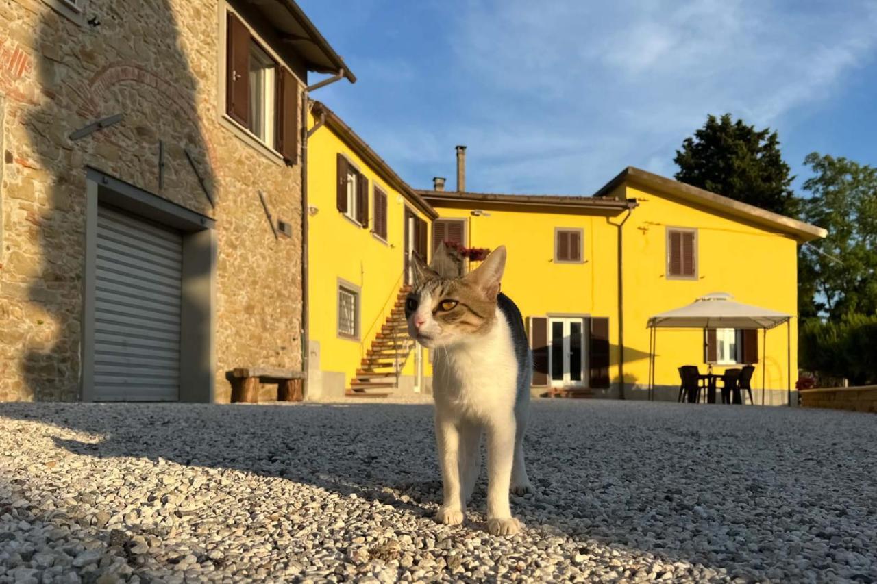 Il Podere La Casina Monsummano Terme Exterior photo